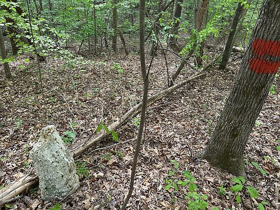 3rd image of LOT 17 Nineteen Lakefront Dr
