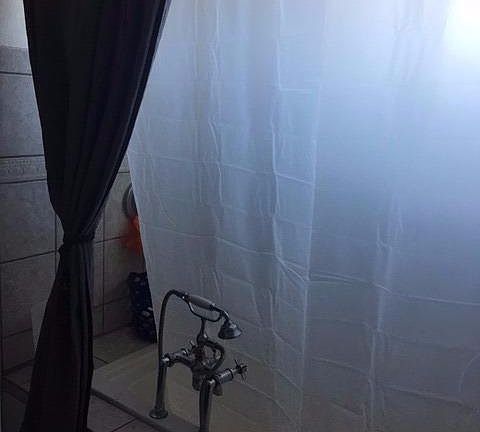 5th image of 1021 E Elizabeth St