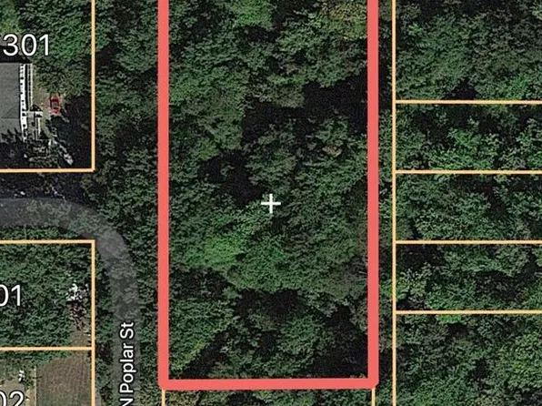 0 Hall St, Cambria, IL 62915