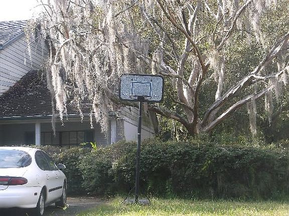 3rd image of 4310 Honey Vista Cir