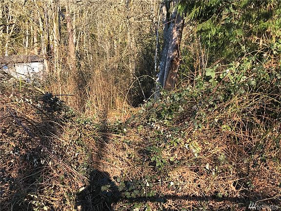 5th image of 2018 E Lake Sammamish Pkwy NE