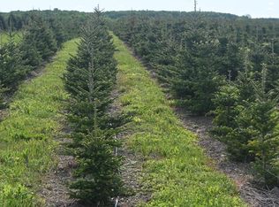 5697 Schneider Rd, Kingsley, MI 49649