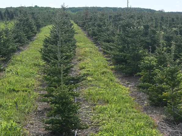 5697 Schneider Rd, Kingsley, MI 49649