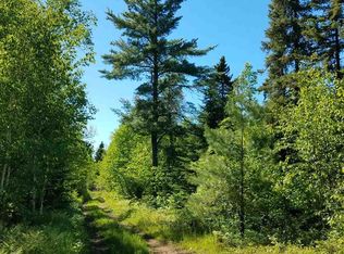 88 S Esther Smt, Hovland, MN 55606