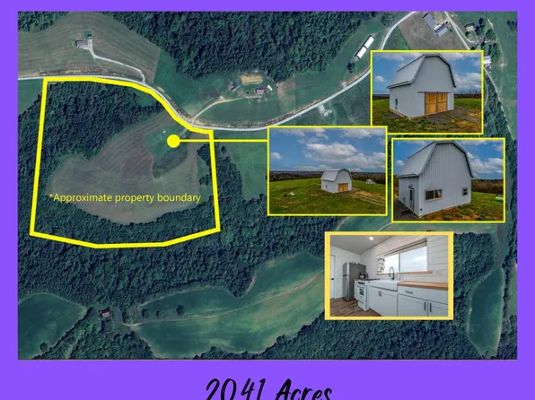 361 Olive Sprig Ln, Flemingsburg, KY 41041