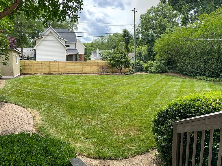 Back yard