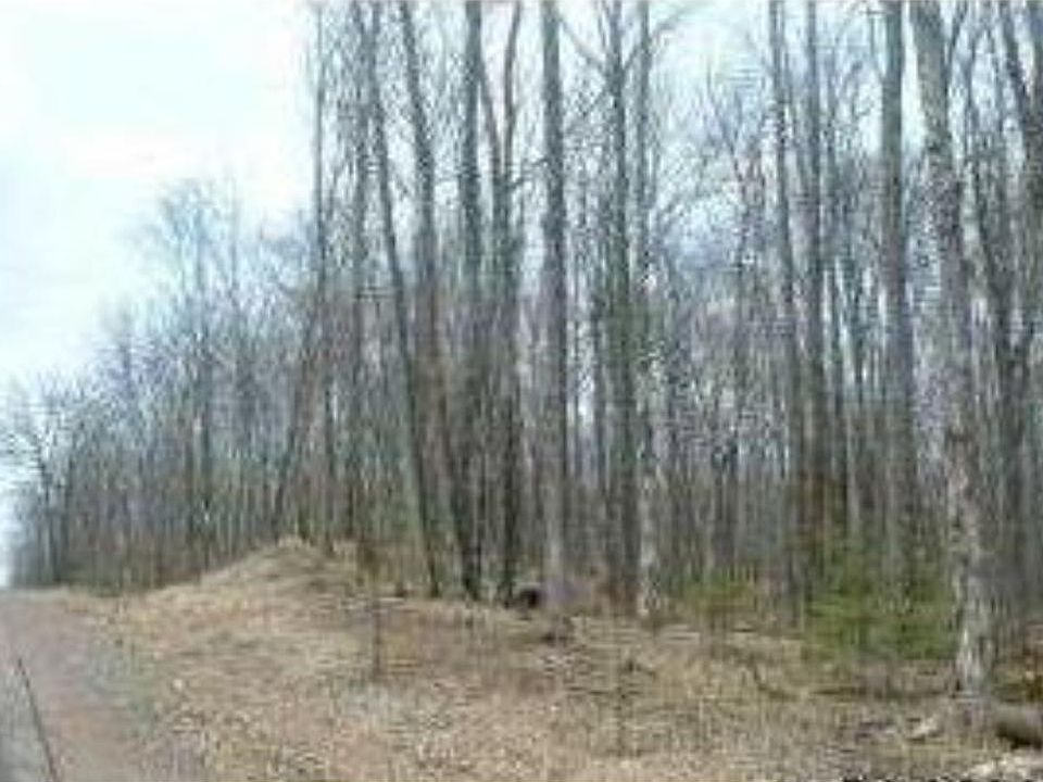 2nd image of 0 Log Lodge Rd