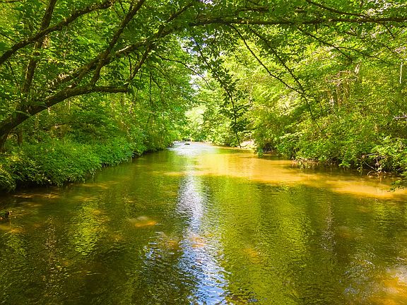 2nd image of 25 W River Run Dr