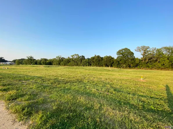LOT 30 Buddy Gore Rd Lot 30, Gonzales, LA 70737