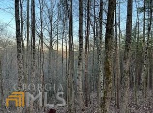 409A Evening Shade Walk, Mineral Bluff, GA 30559