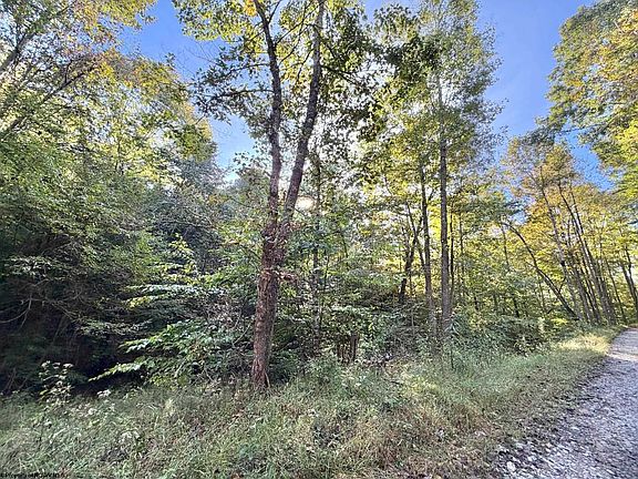 4th image of 290 Long Fork Rd