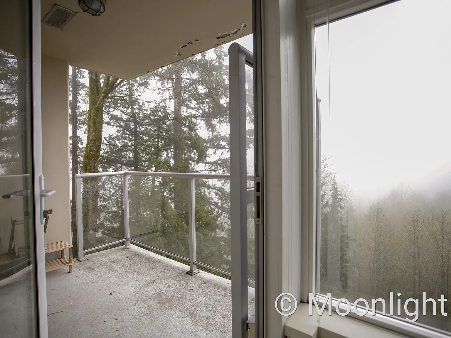 1 bed, 550 sqft, $1,800 — Photo 4