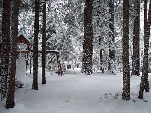 3rd image of 30885 Bambi Dr
