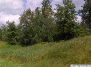 N2SWSW Old Backboard Road Lakeport Twp, Laporte, MN 56461