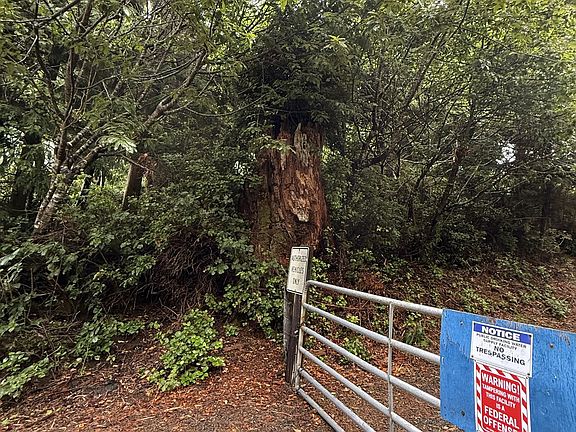 2nd image of Terrace Dr