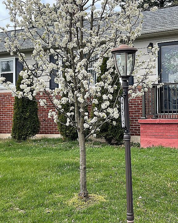 1st image of 4615 Ethel Cir