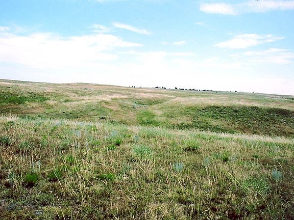 3rd image of Nhn Crossroads Dr