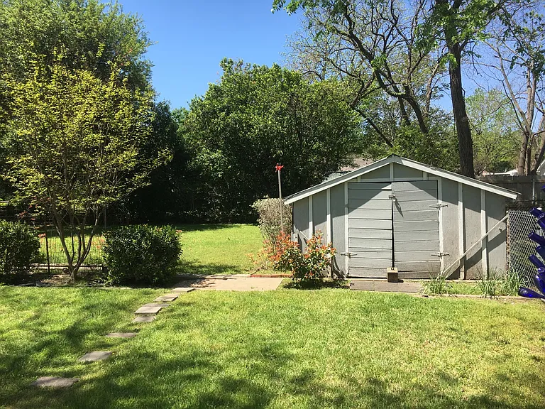 backyard 1