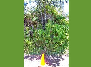 Road 5 Uau LOT 3940, Mountain View, HI 96771