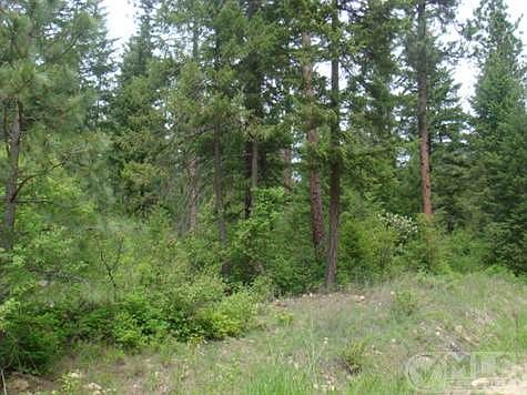 Crumps      June 1 007