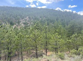 1111 Spruce Dr, Lyons, CO 80540