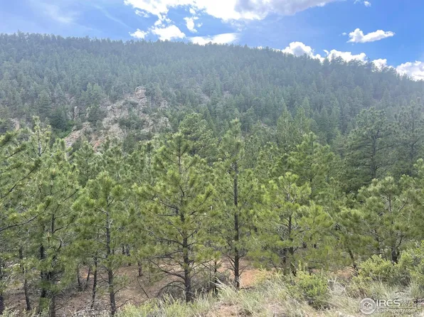 1111 Spruce Dr, Lyons, CO 80540