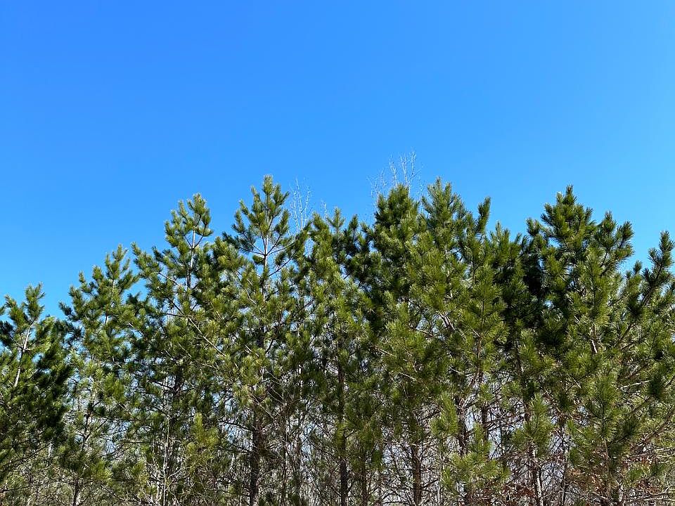 Lower Kaubashine Rd, Minocqua, WI 54548 MLS 201091 Zillow