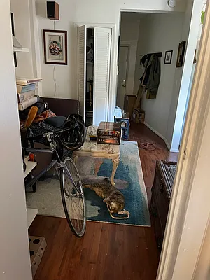 Rented by BINAH REALTY SERVICES LLC | media 3