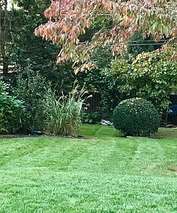 From Street to side yrd/back