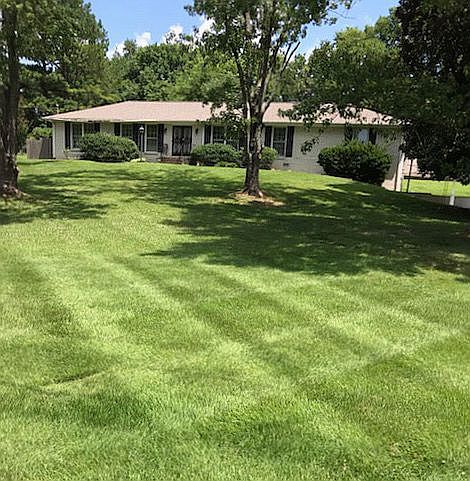 Beautiful Level yard 

