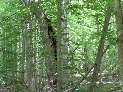 Horseshoe Bend Rd, Ruther Glen, VA, 22546