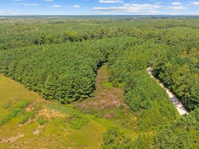 Lot 1 Womack Rd., Nichols, SC, 29581