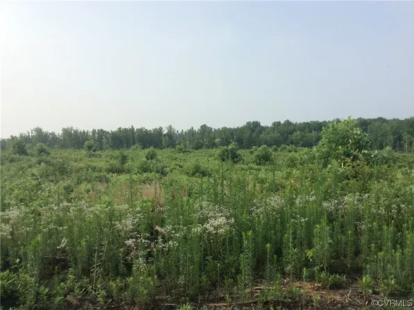 2 Broad Street Rd #2, Gum Spring, VA 23065