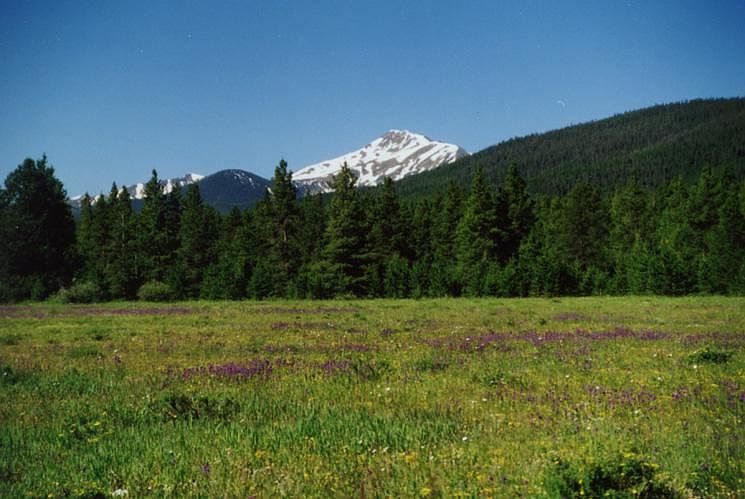 1st image of 1104 Moose Run Lane