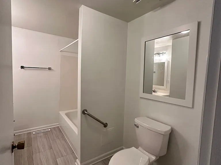Guest Bathroom with Safety Bar
