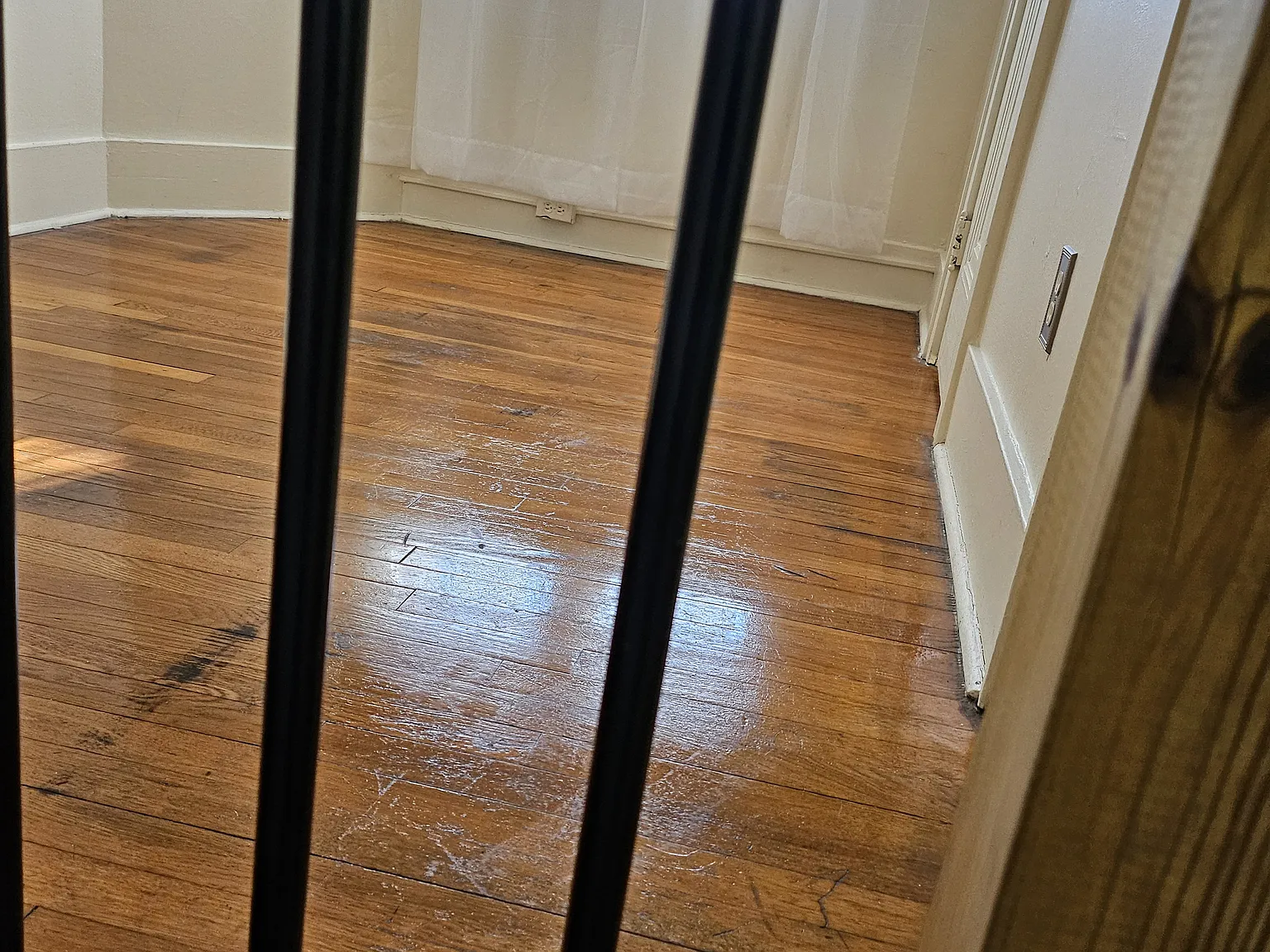 1 bed, 1482 sqft, $1,300 — Photo 4