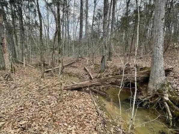 3908 E Raccoon Valley Dr, Powell, TN 37849