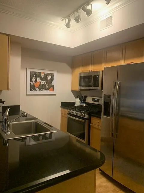 Studio, 552 sqft, $2,300 — Photo 3