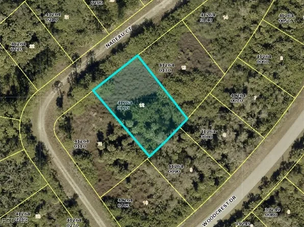 641 Nadeau Ct, Lehigh Acres, FL 33972