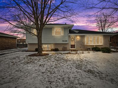 1442 Summit Dr, Lockport, IL, 60441