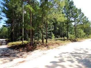 3294 McCaskill Rd, Bethune, SC 29009