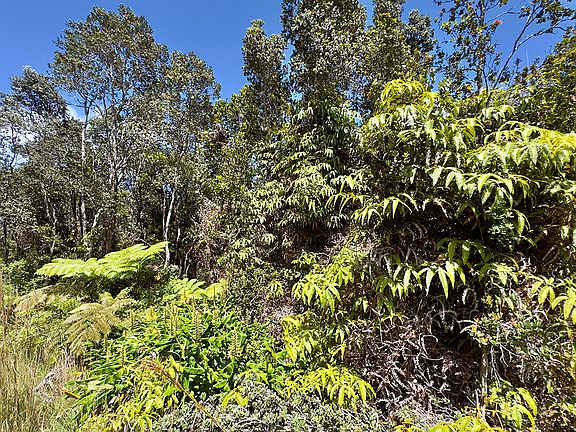 3rd image of Nahelenani St Lot 53-B-529