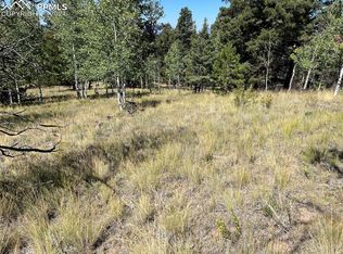 1821 Upper Twin Rocks Rd, Florissant, CO 80816