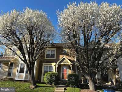 2802 Schoolhouse Cir, Silver Spring, MD, 20902