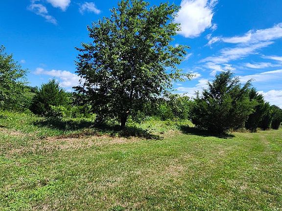 3rd image of Ground Mole Ln Lot 5