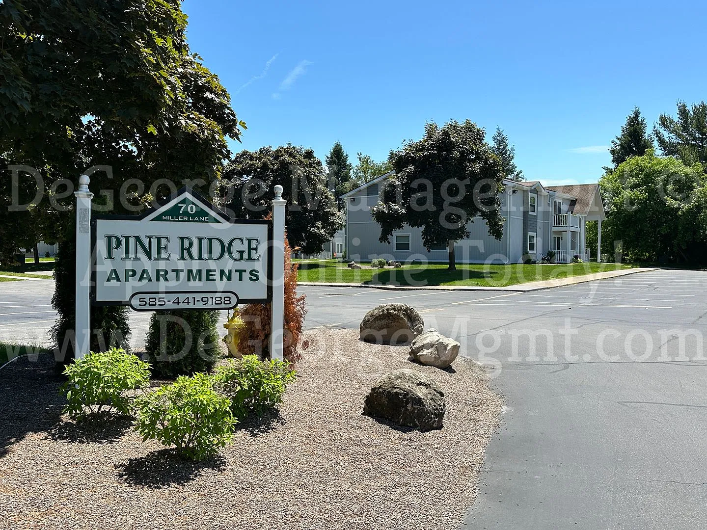 Pine Ridge Apartments — Photo 4
