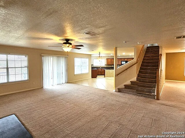 208 Springtree Cv — Photo 14