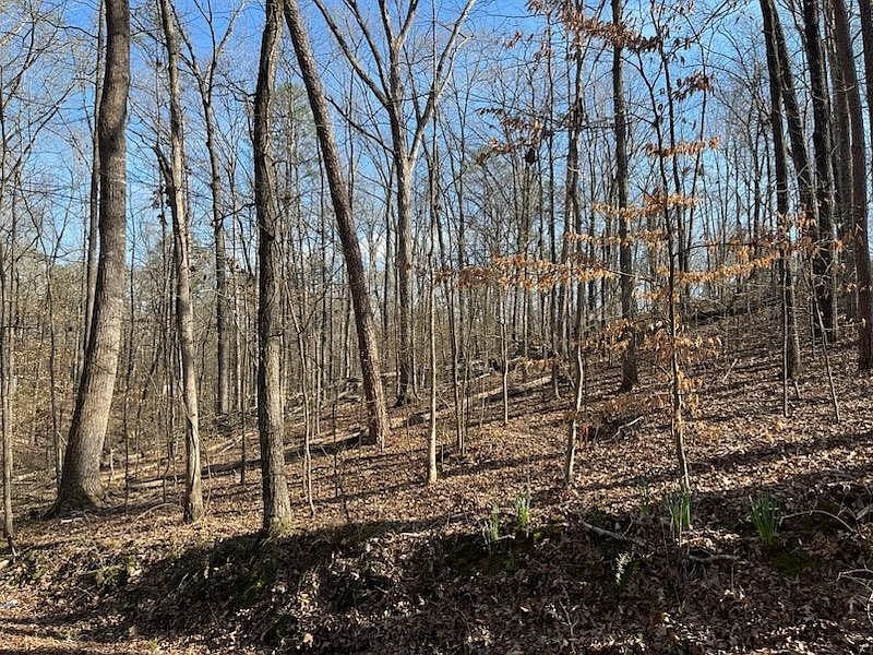 2nd image of 0 Springbrook Dr Lot 57