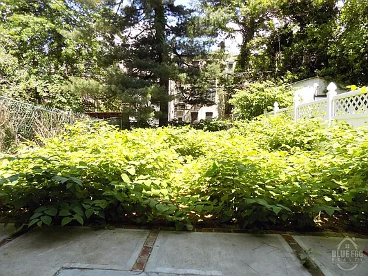 Rented by Blue Egg Realty Corp | media 53