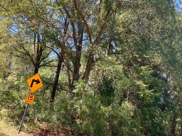 445 Country Club Rd, Bishopville, SC 29010